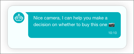 A browser chatbot saying "nice camera, I can help you make a decision on whether to buy this one"